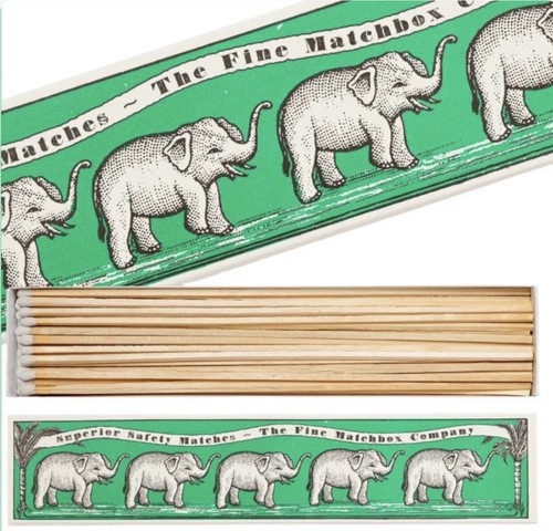 Elephants extra long - extra,